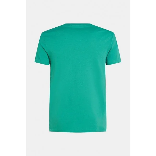 Camiseta Calvin Klein Verde Hombre