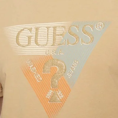 Camiseta Guess Marrón Hombre 2