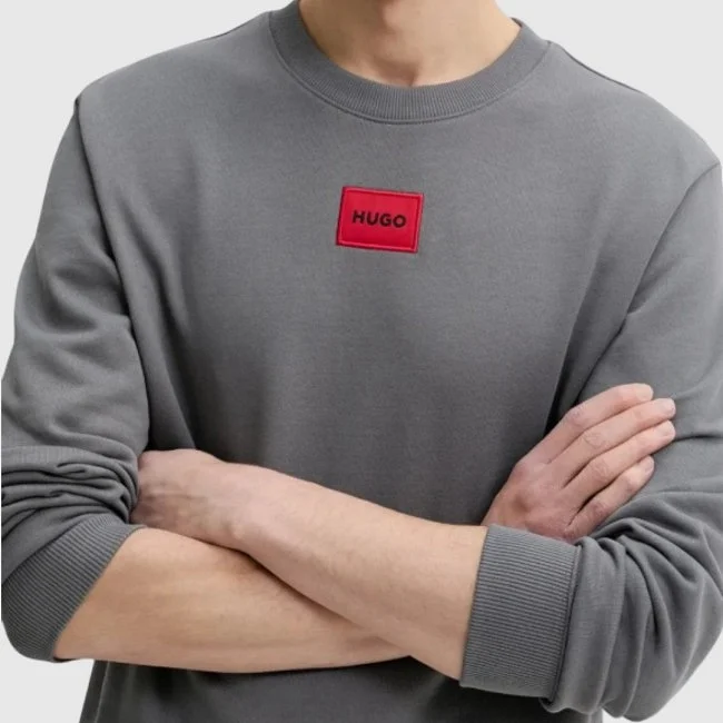 Sudadera Hugo Gris Hombre