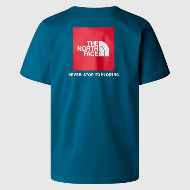 Camiseta The North Face Azul Hombre