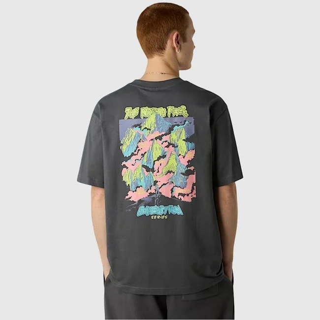 Camiseta The North Face Gris Hombre