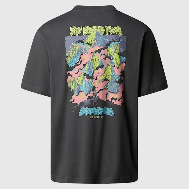 Camiseta The North Face Gris Hombre