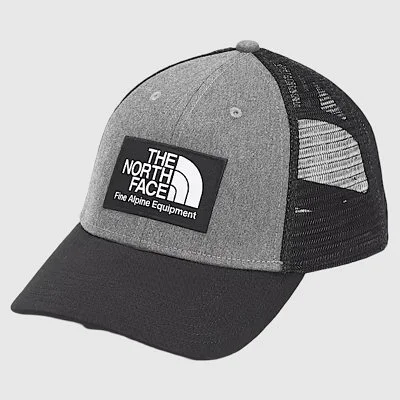 Gorra The North Face Gris