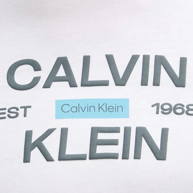 Camiseta Calvin Klein Blanca Hombre
