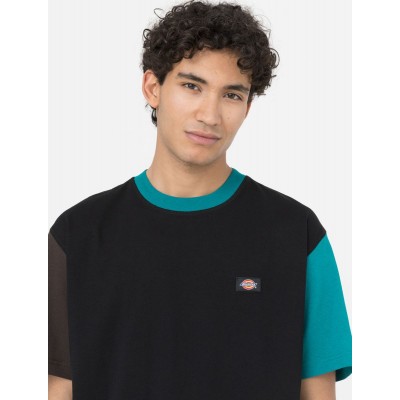 Camiseta Dickies Hombre 2