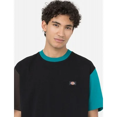 Camiseta Dickies Hombre 2